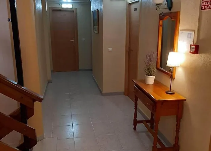 酒店 卡诺酒店 托雷维耶哈