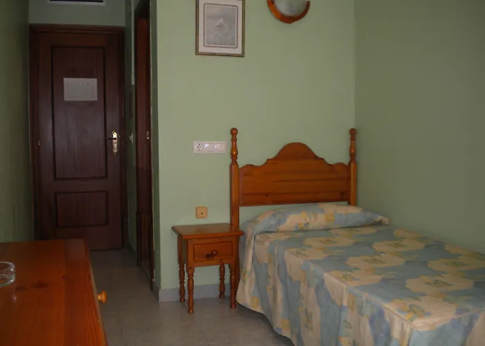 Cano تورّيفيِخا